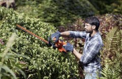 Black&Decker BEHT251 450W 50 cm Çit Budama ve Kesme Makinası